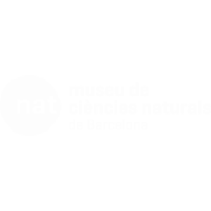 MuseuBCN